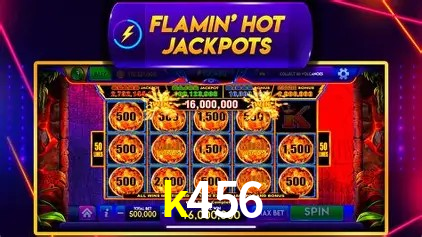 Flash Promotion k456