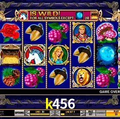Live Casino k456